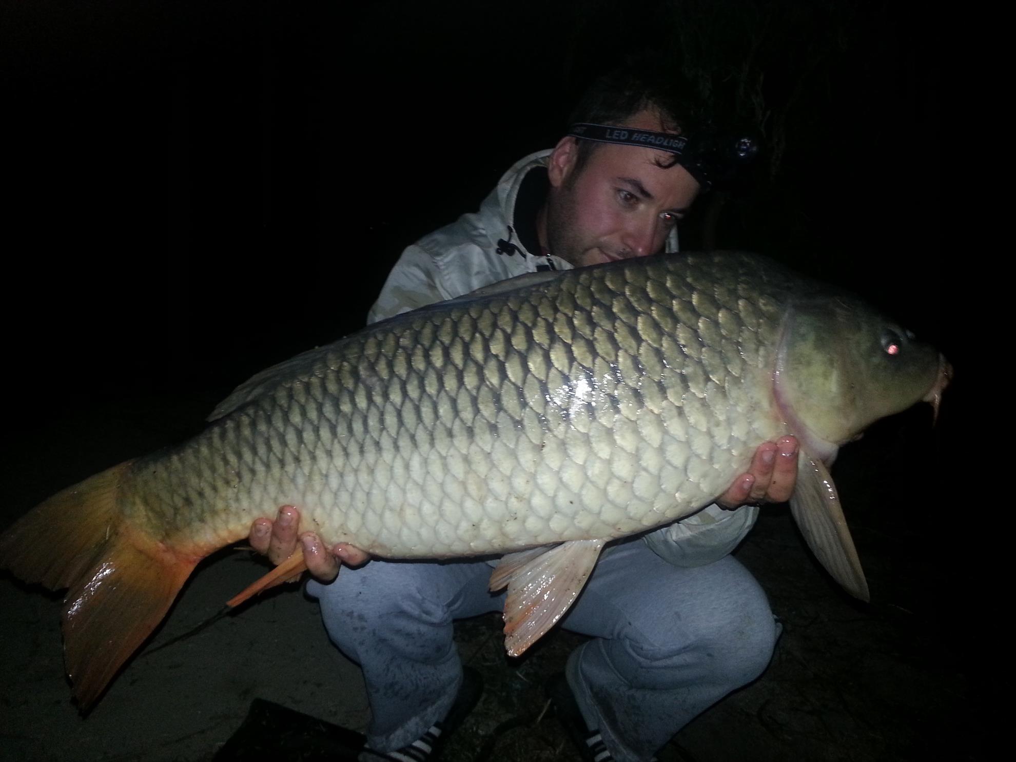 hermes peris 12.09.2014 - 12.850